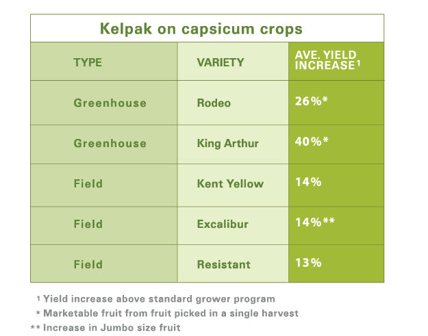 capsicum table